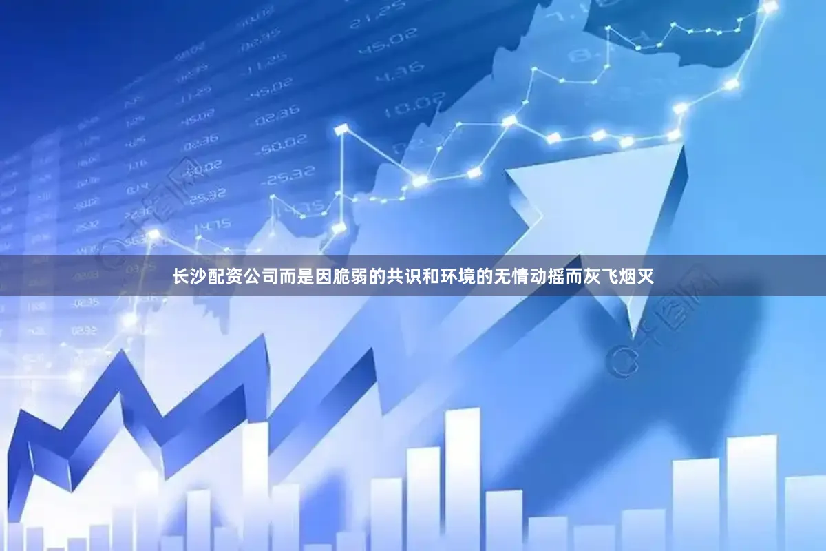 长沙配资公司而是因脆弱的共识和环境的无情动摇而灰飞烟灭