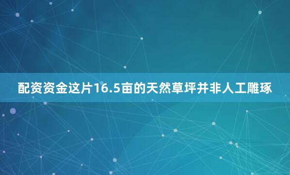 配资资金这片16.5亩的天然草坪并非人工雕琢