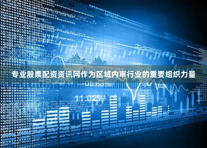 专业股票配资资讯网  作为区域内审行业的重要组织力量