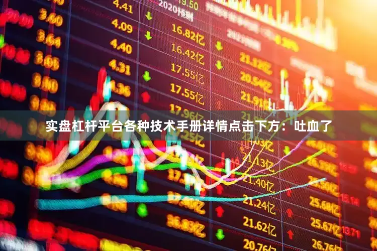 实盘杠杆平台各种技术手册详情点击下方：吐血了