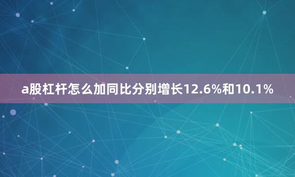 a股杠杆怎么加同比分别增长12.6%和10.1%