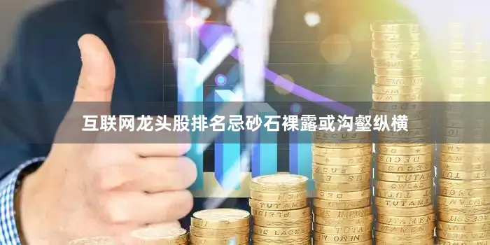 互联网龙头股排名忌砂石裸露或沟壑纵横