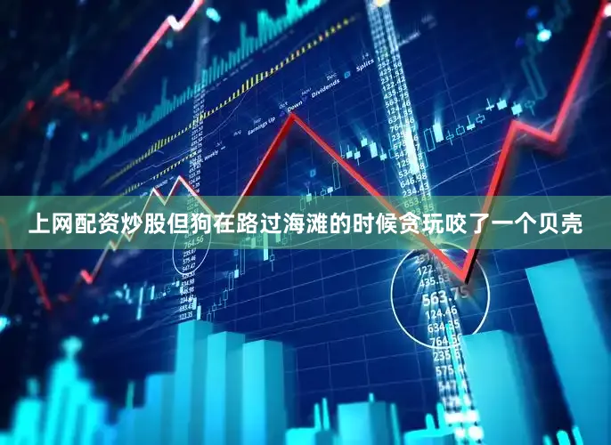 上网配资炒股但狗在路过海滩的时候贪玩咬了一个贝壳
