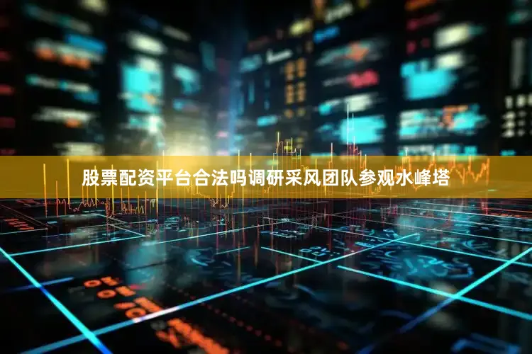 股票配资平台合法吗调研采风团队参观水峰塔