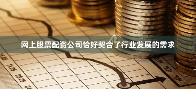 网上股票配资公司恰好契合了行业发展的需求