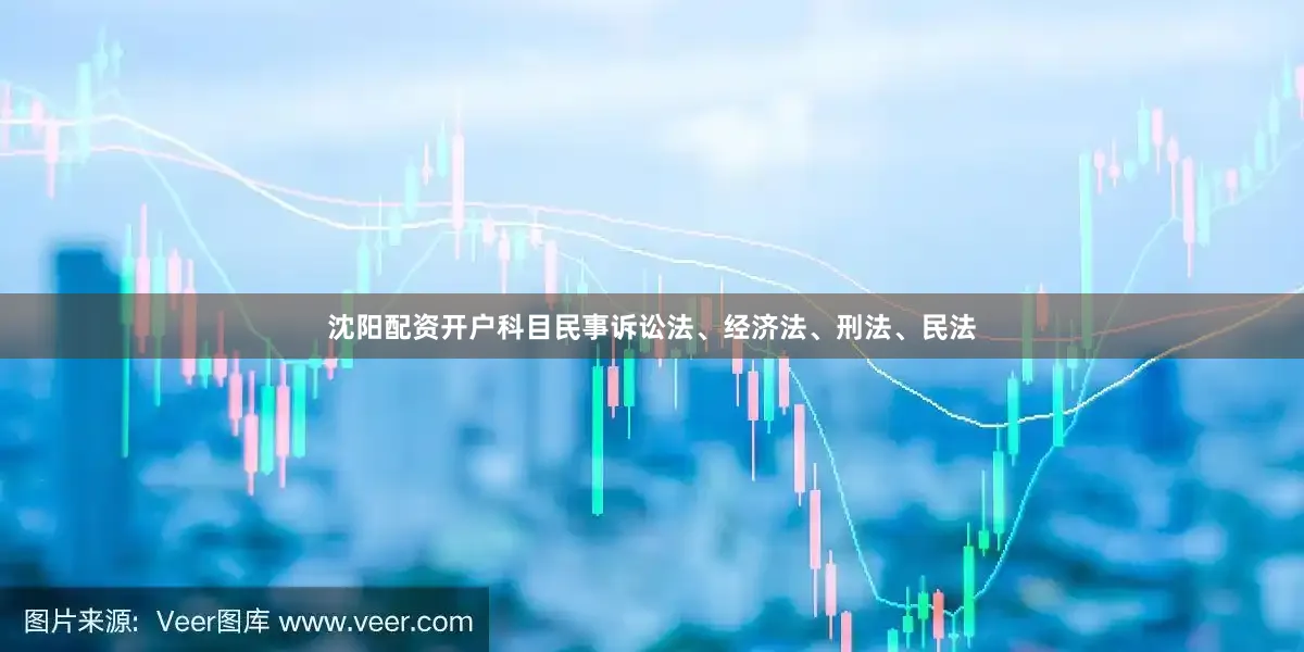 沈阳配资开户科目民事诉讼法、经济法、刑法、民法